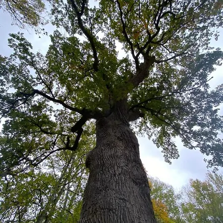 Le De L'esperance Semesterbostad Arc-en-Barrois