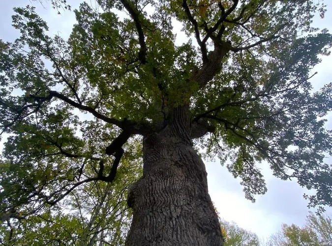 Le De L'esperance Holiday home Arc-en-Barrois